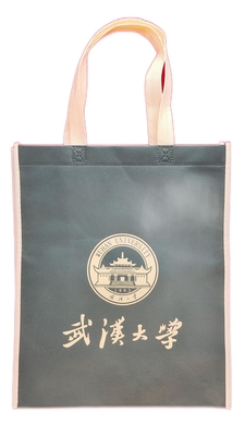 OEM PP Laminierter Vliesstoff Taschen 120g Einfarbiger Siebdruck